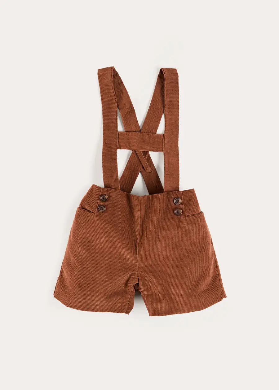Button Detail Shorts with Braces in Brown (18mths-4yrs) Shorts from Pepa London