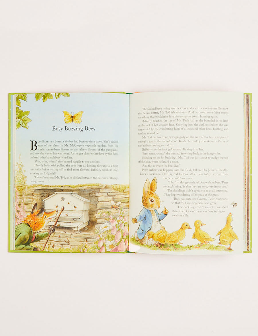 Peter Rabbit Tales from the Countryside Book in Green Books from Pepa London