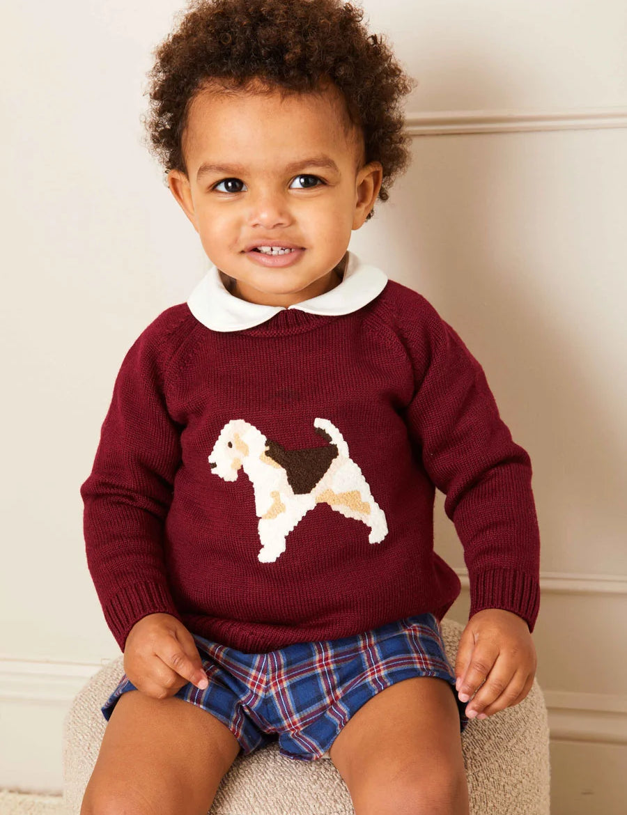 Doggy Intarsia Jumper in Burgundy (12mths-10yrs) Knitwear from Pepa London