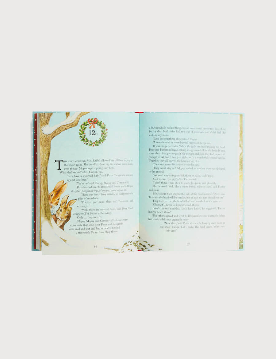 Peter Rabbit Christmas is Coming Book Toys from Pepa London