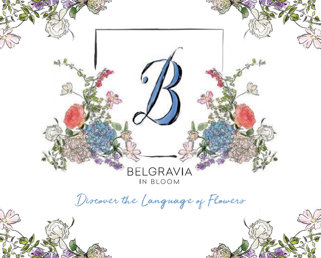 Pepa In Bloom: Our take on Belgravia in Bloom 2019 - PEPA AND CO