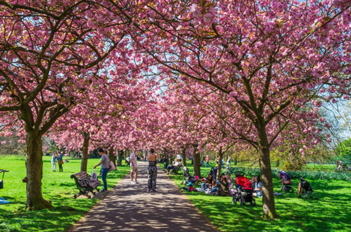Spring has Sprung in London! – Pepa London