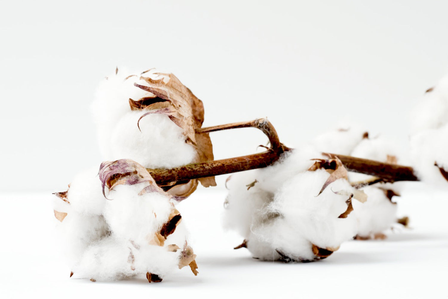 Pima Cotton - Only the best for your baby - PEPA AND CO