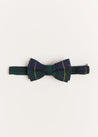 Windsor Tartan Bow Tie in Green Hair Accessories  from Pepa London