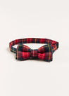 Belgravia Tartan Bow Tie in Red Hair Accessories  from Pepa London