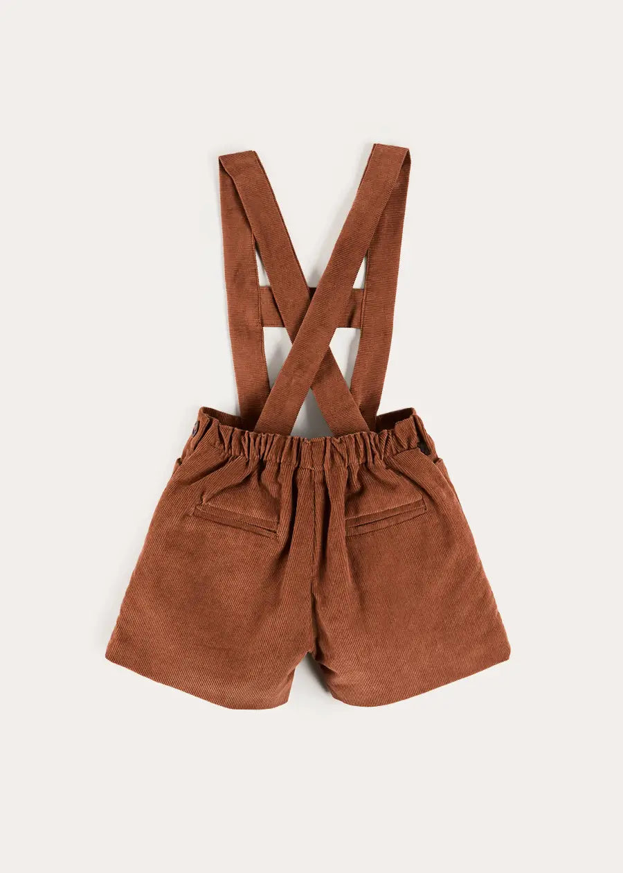 Button Detail Shorts with Braces in Brown (18mths-4yrs) Shorts from Pepa London