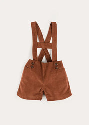 Button Detail Shorts with Braces in Brown (18mths-4yrs) Shorts from Pepa London