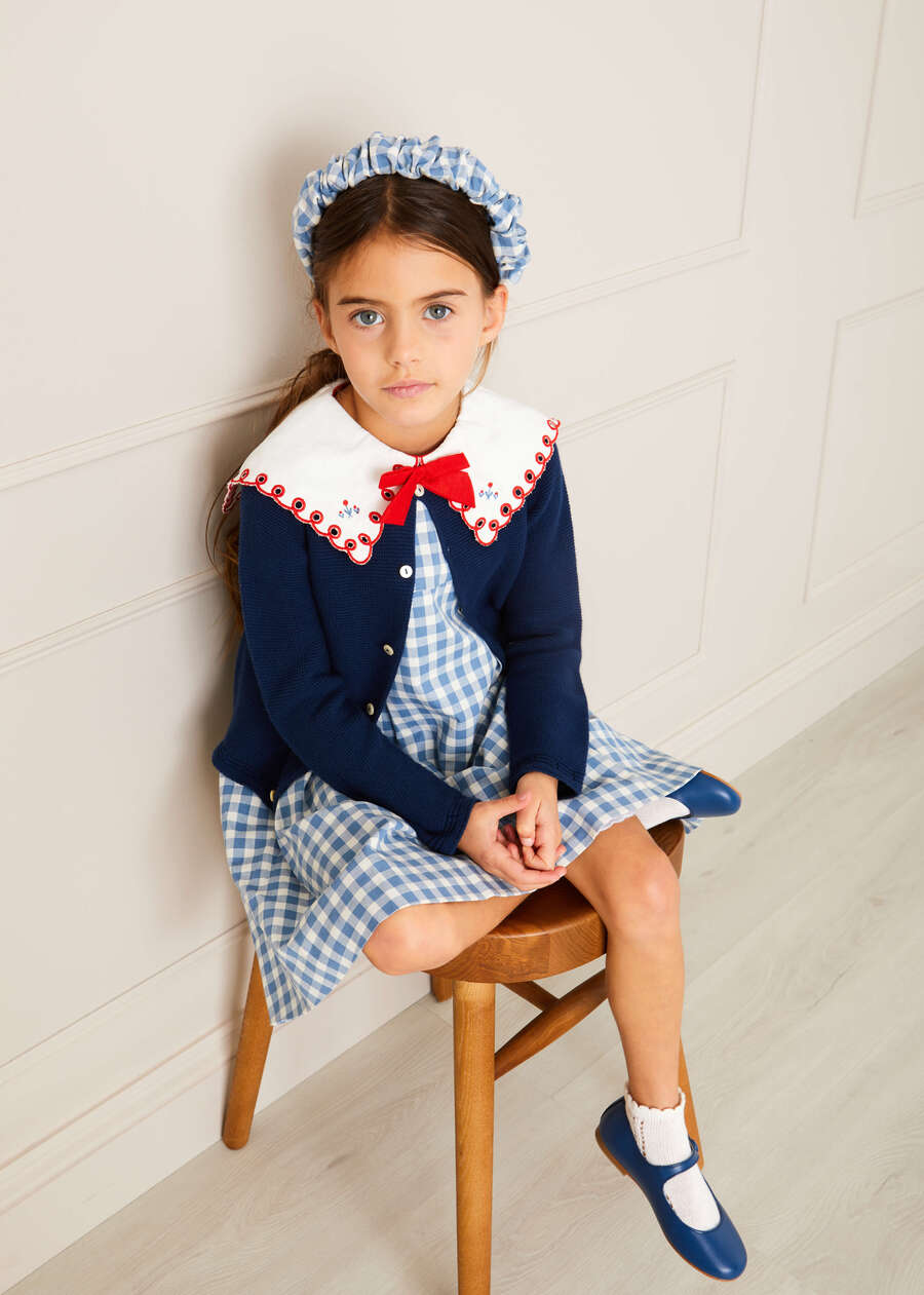 Embroidered Gingham Sleeveless Dress in Blue (12mths-12yrs) Dresses from Pepa London