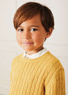 Cable Detail Crew Neck Jumper In Mustard Yellow (2-10yrs) KNITWEAR  from Pepa London