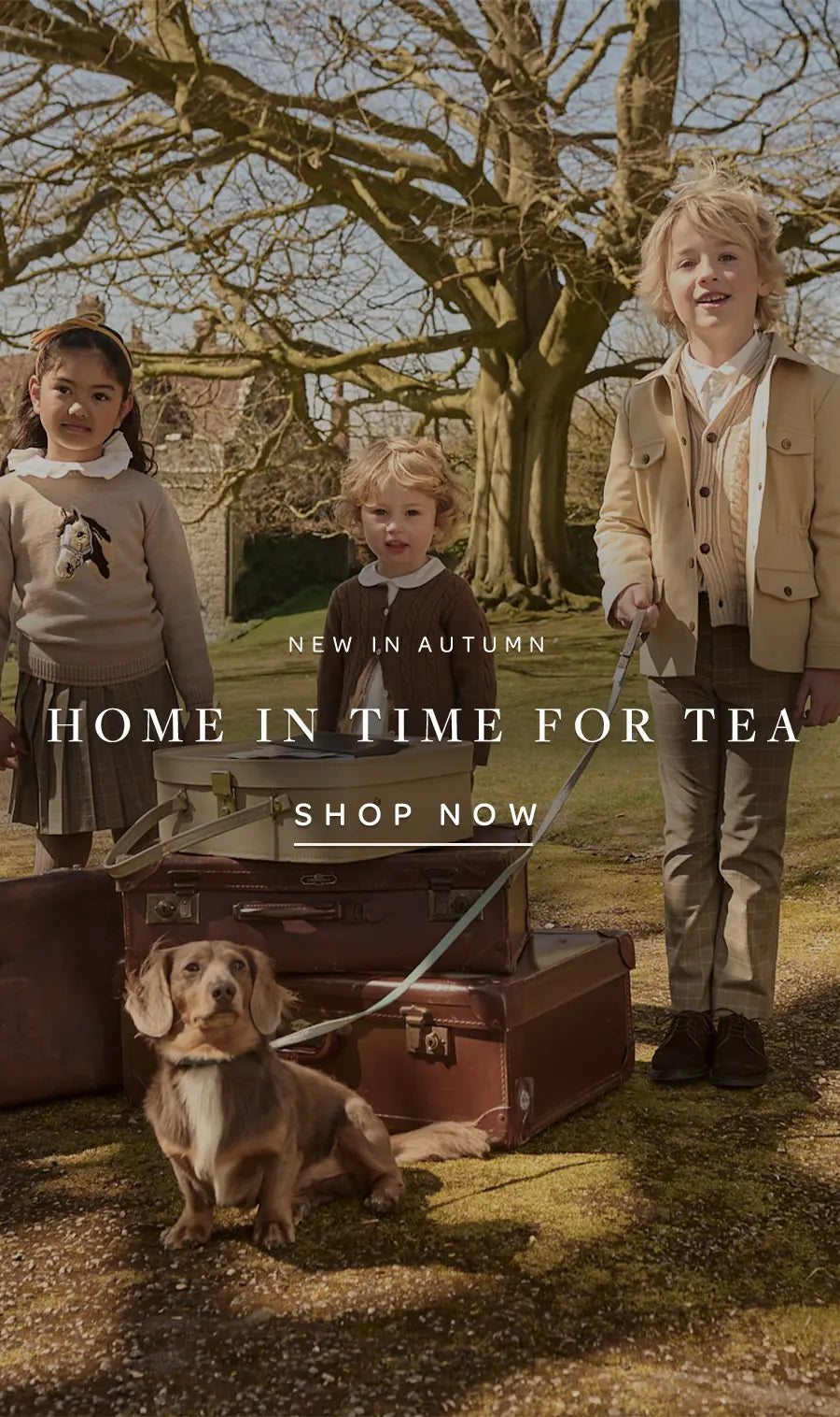 CONTENT_BLOCKS_autumn_cc6a4c87-6222-472b-9853-3cde4cc004fc.webp