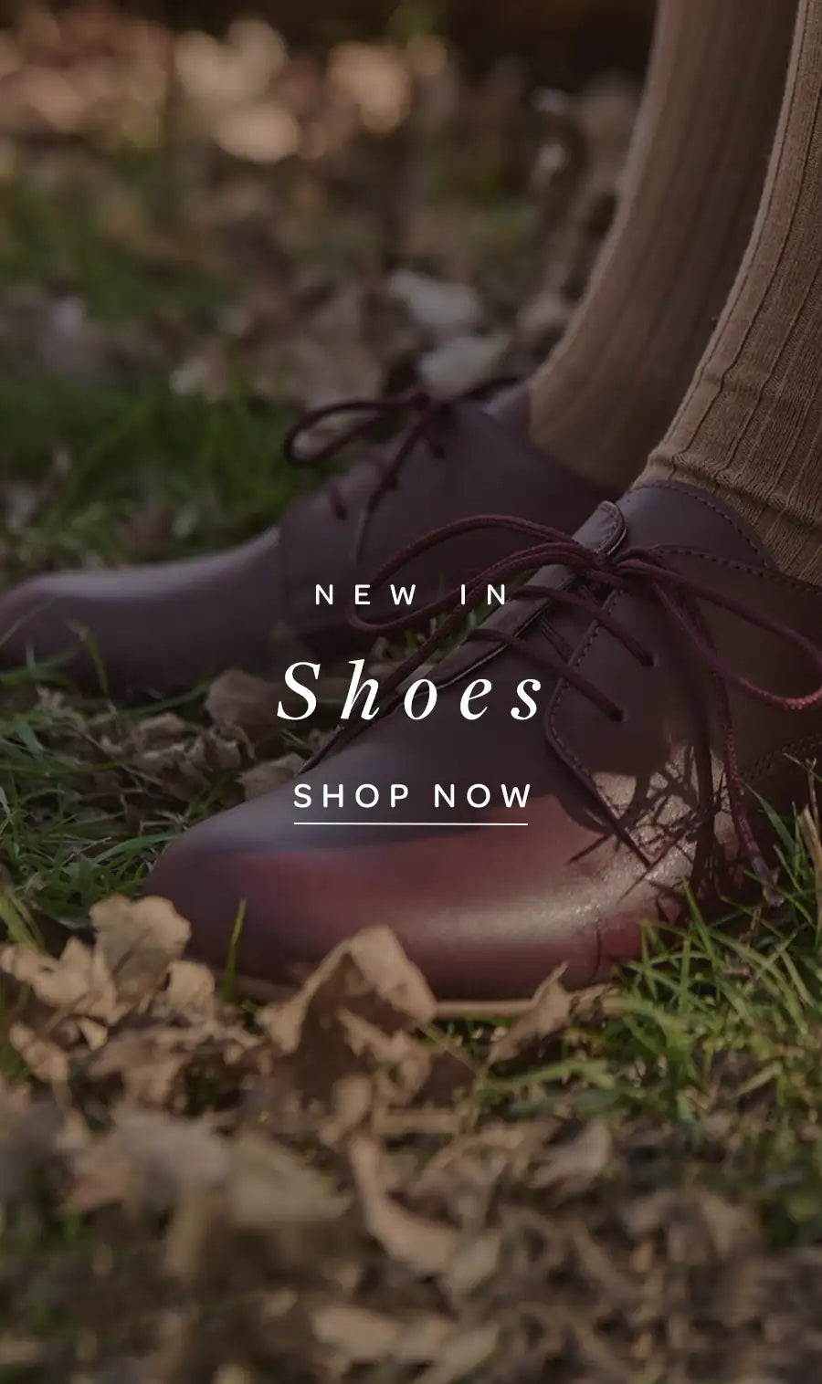 CONTENT_BLOCK_Shoes_Autumn_1b1dbb93-e9ab-4284-a0e8-7e04bf33eb99.webp