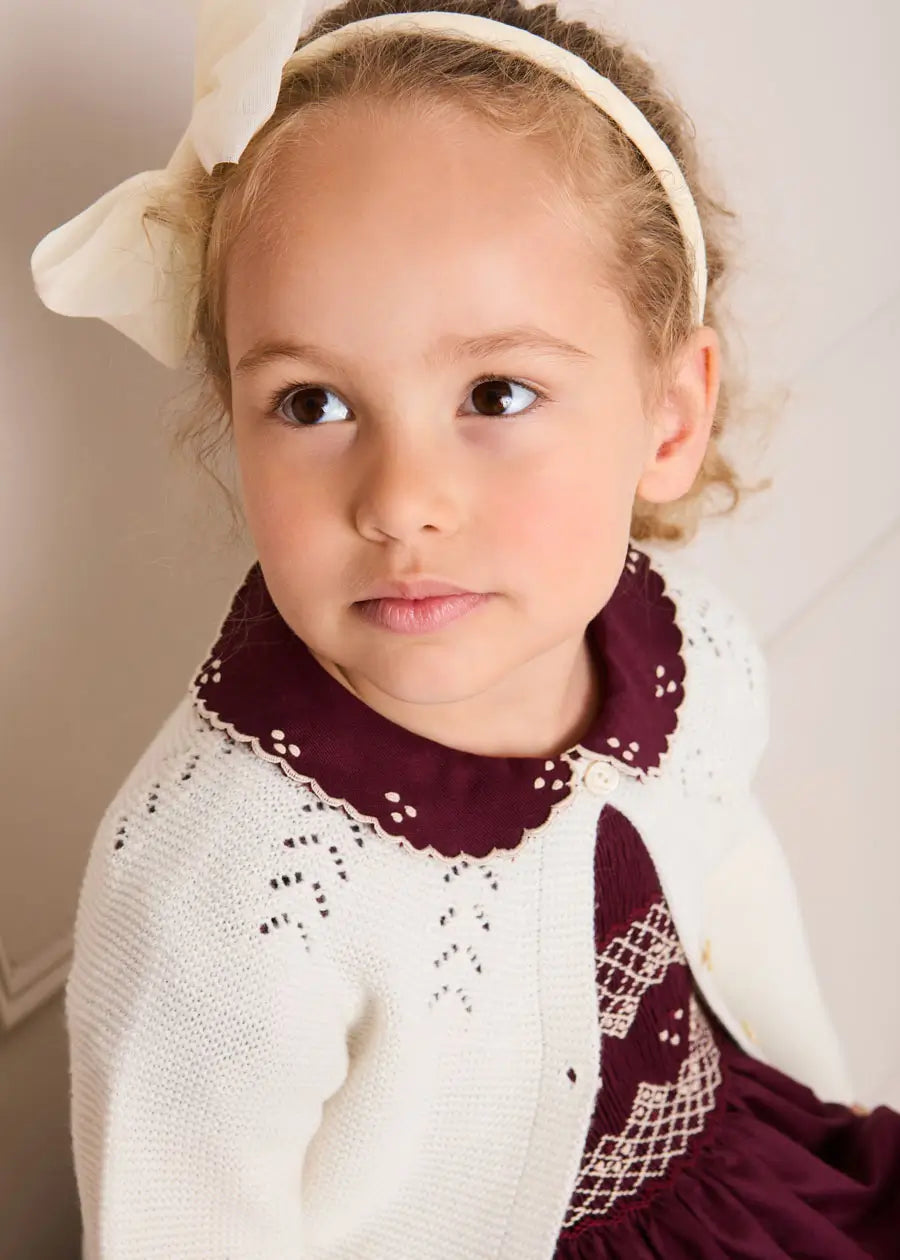 The Burgundy Icon Dress Toddler Girl Look