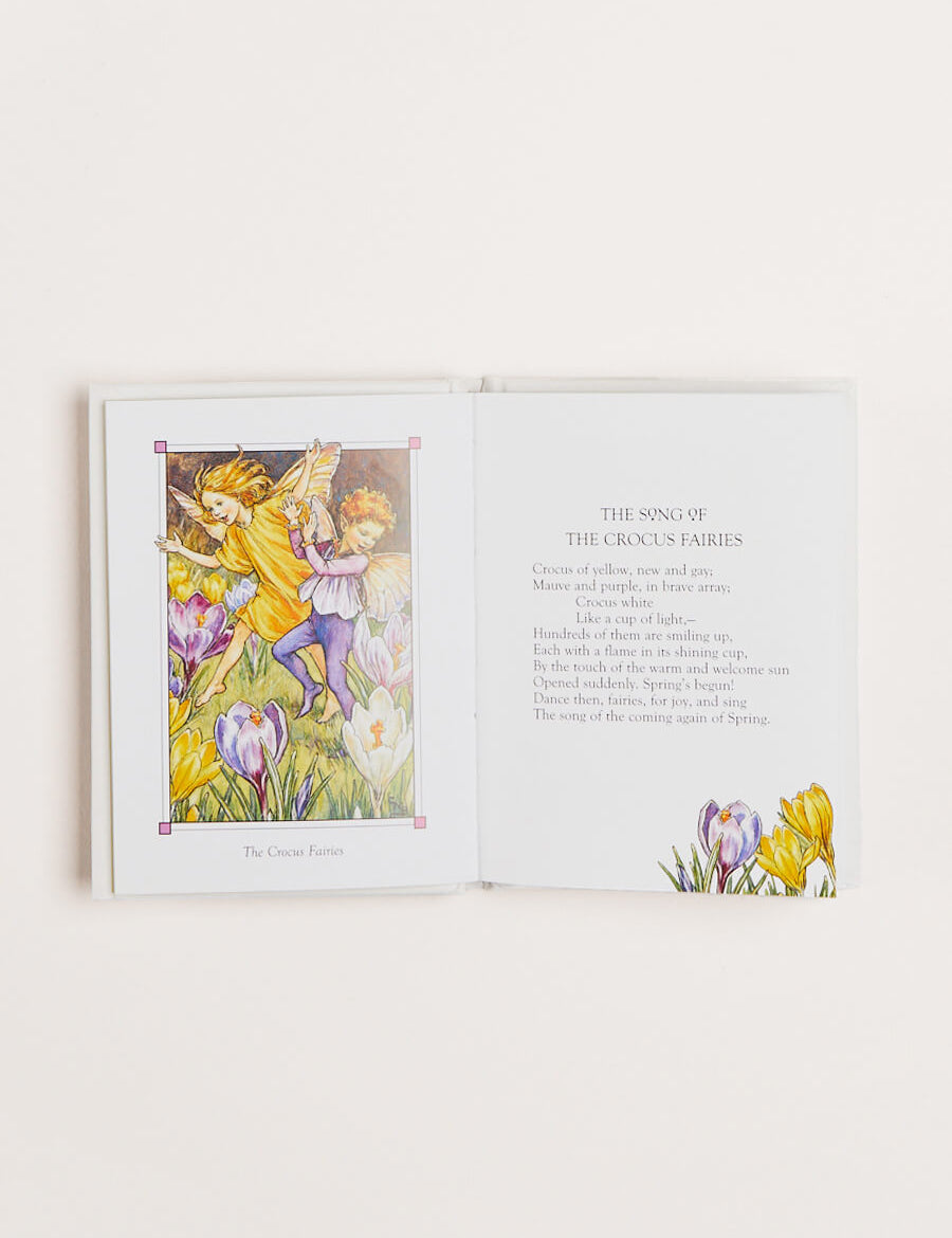 Flower Fairies of the Spring Book in White BOOKS from Pepa London