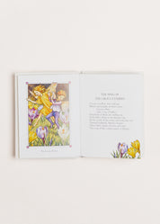 Flower Fairies of the Spring Book in White BOOKS from Pepa London