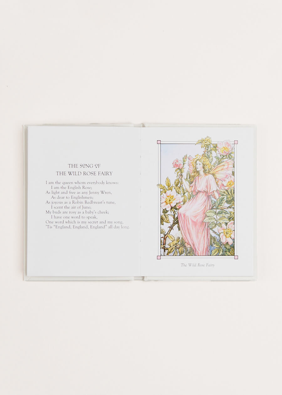 Flower Fairies of the Summer Book in White BOOKS from Pepa London