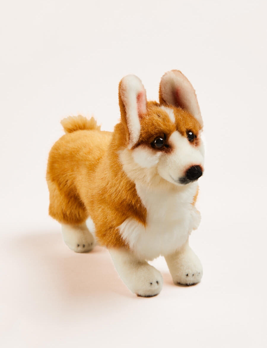 Corgi Toy in Brown Toys  from Pepa London