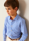 Carlisle Gingham Polo Collar Long Sleeve Shirt in Blue (4-10yrs) SHIRTS from Pepa London