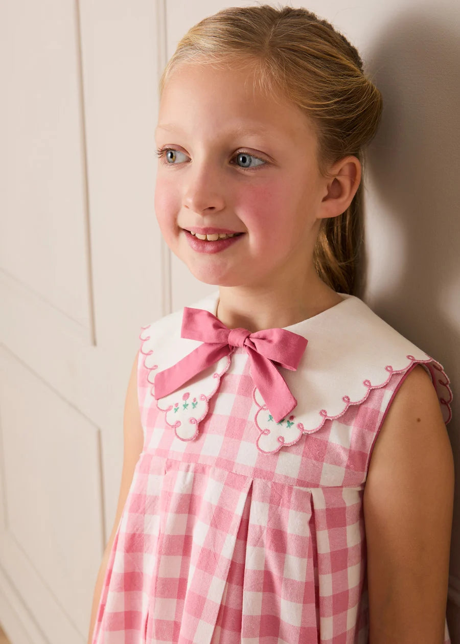 Catherine Gingham Embroidered Sleeveless Trapeze Dress in Pink (12mths- 10yrs) Dresses from Pepa London