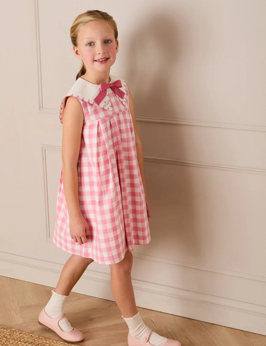 Catherine Gingham Embroidered Sleeveless Trapeze Dress in Pink (12mths- 10yrs) Dresses from Pepa London