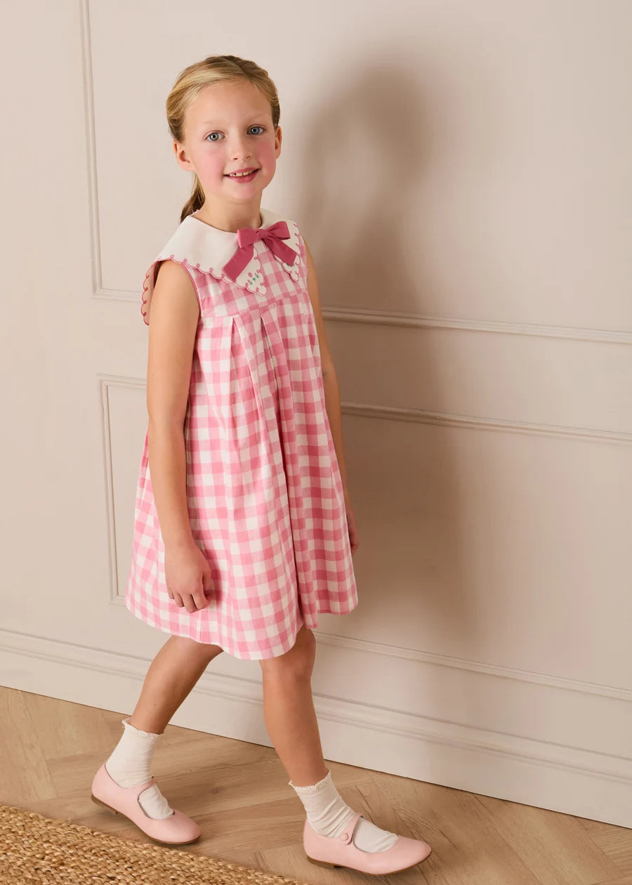 Catherine Gingham Embroidered Sleeveless Trapeze Dress in Pink (12mths- 10yrs) Dresses from Pepa London