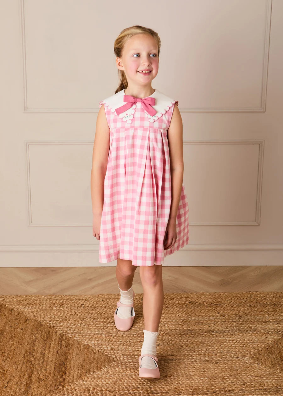 Catherine Gingham Embroidered Sleeveless Trapeze Dress in Pink (12mths- 10yrs) Dresses from Pepa London