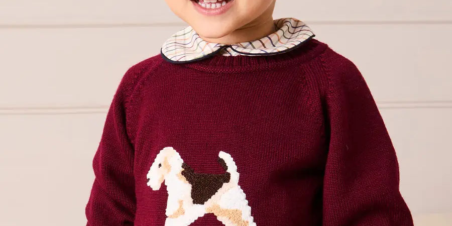 The Dog Jumper Toddler Boy Look Look from Pepa London