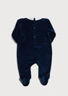 Polo Collar Velour Nightwear in Navy (0-12mths)m Nightwear  from Pepa London