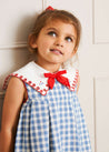 Embroidered Gingham Sleeveless Dress in Blue (12mths-10yrs) Dresses  from Pepa London