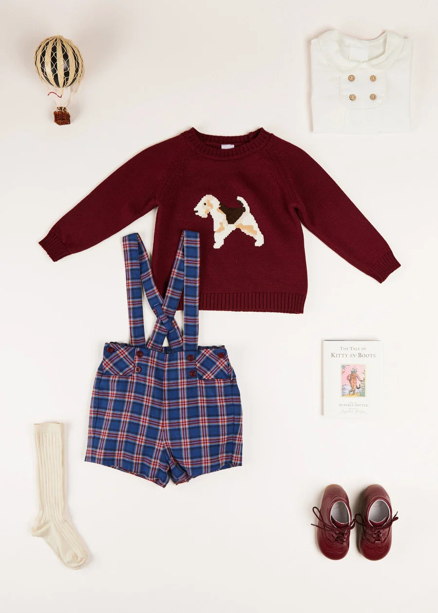 The Burgundy Doggy Intarsia Jumper Baby Boy Look Look  from Pepa London