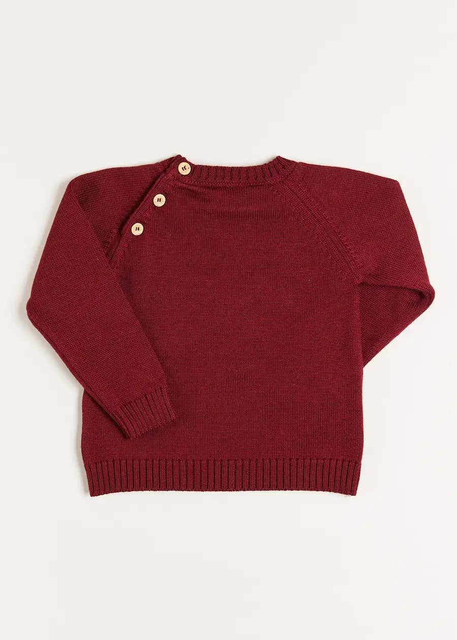 Doggy Intarsia Jumper in Burgundy (12mths-10yrs) Knitwear from Pepa London