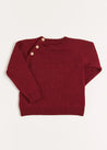 Doggy Intarsia Jumper in Burgundy (12mths-4yrs) Knitwear  from Pepa London