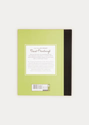 Little People, Big Dreams - David Attenborough Book in Green BOOKS from Pepa London