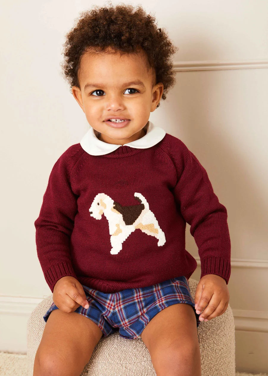 Doggy Intarsia Jumper in Burgundy (12mths-10yrs) Knitwear from Pepa London