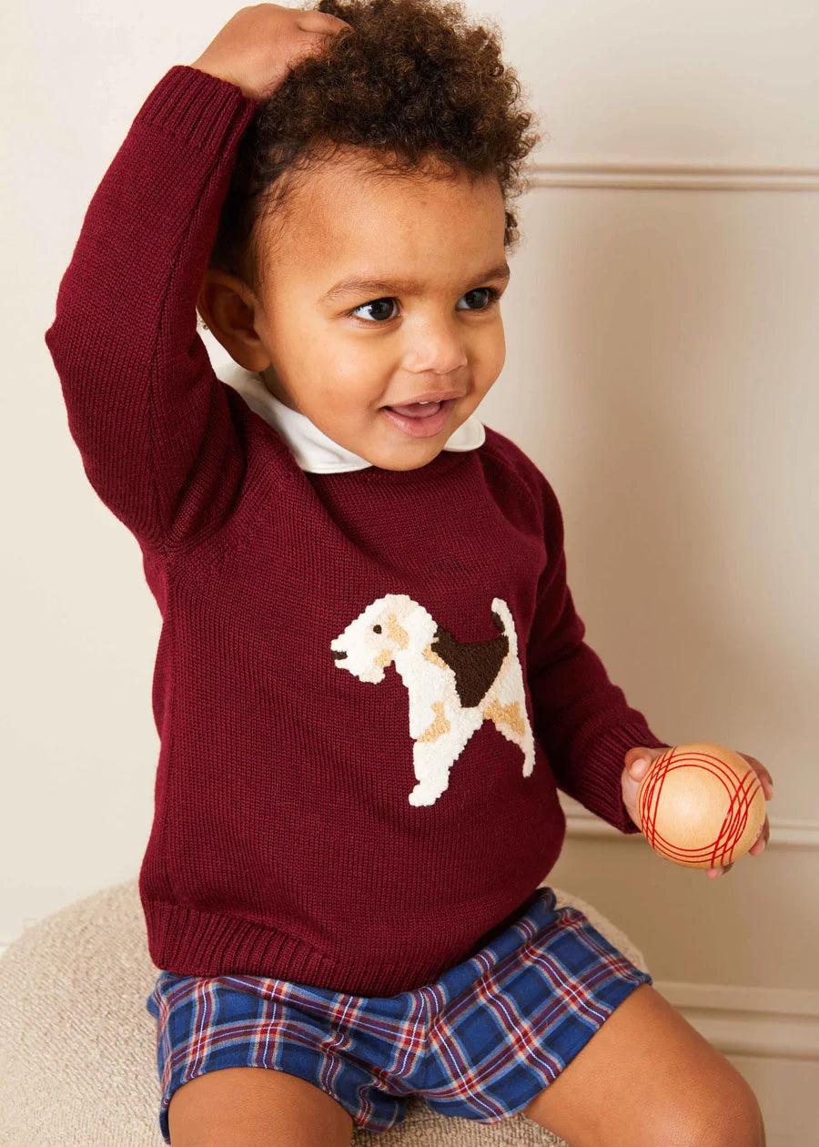 Doggy Intarsia Jumper in Burgundy (12mths-10yrs) Knitwear from Pepa London