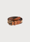 Brown Striped Belt Belts & Braces  from Pepa London