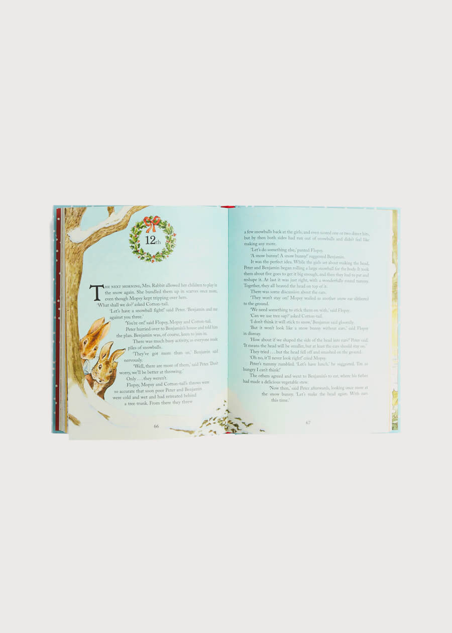 Peter Rabbit Christmas is Coming Book Toys  from Pepa London