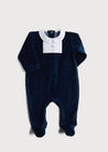 Polo Collar Velour Nightwear in Navy (0-12mths)m Nightwear  from Pepa London