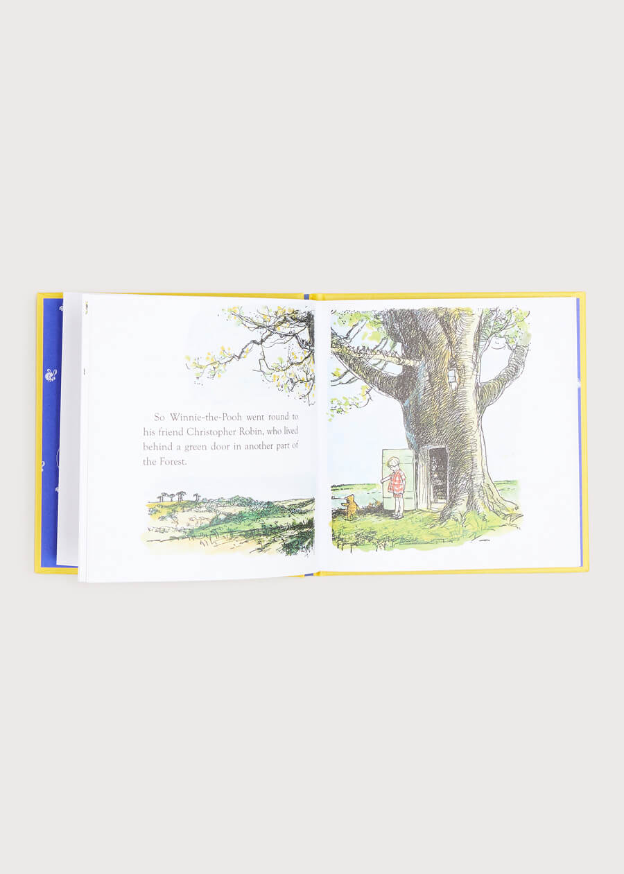 Winnie The Pooh And The Wrong Bees Book Books  from Pepa London
